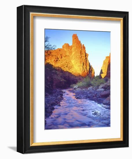 Stream Near Fisher Towers, Utah, USA-Christopher Talbot Frank-Framed Photographic Print