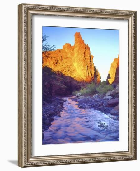 Stream Near Fisher Towers, Utah, USA-Christopher Talbot Frank-Framed Photographic Print