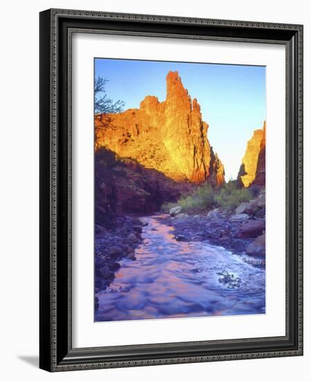 Stream Near Fisher Towers, Utah, USA-Christopher Talbot Frank-Framed Photographic Print