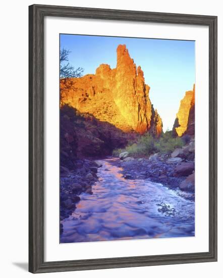 Stream Near Fisher Towers, Utah, USA-Christopher Talbot Frank-Framed Photographic Print