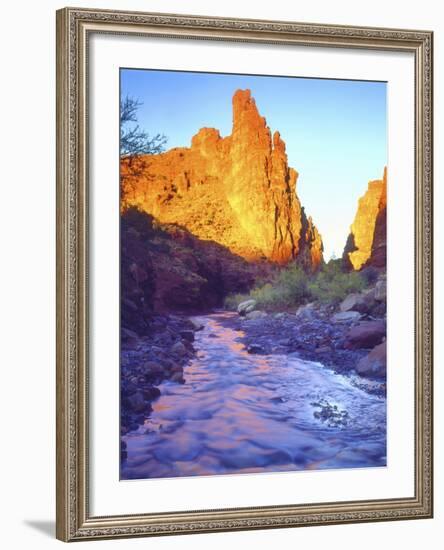 Stream Near Fisher Towers, Utah, USA-Christopher Talbot Frank-Framed Photographic Print