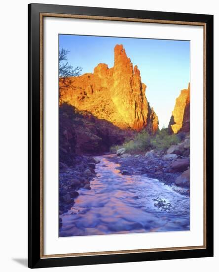 Stream Near Fisher Towers, Utah, USA-Christopher Talbot Frank-Framed Photographic Print