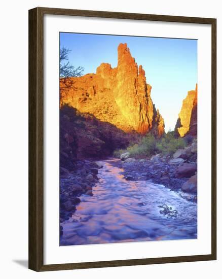 Stream Near Fisher Towers, Utah, USA-Christopher Talbot Frank-Framed Photographic Print