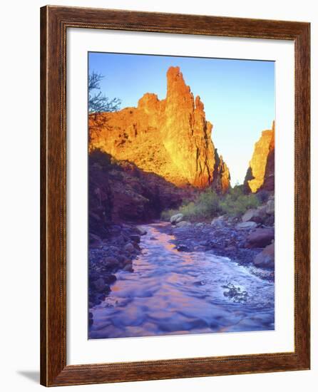 Stream Near Fisher Towers, Utah, USA-Christopher Talbot Frank-Framed Photographic Print
