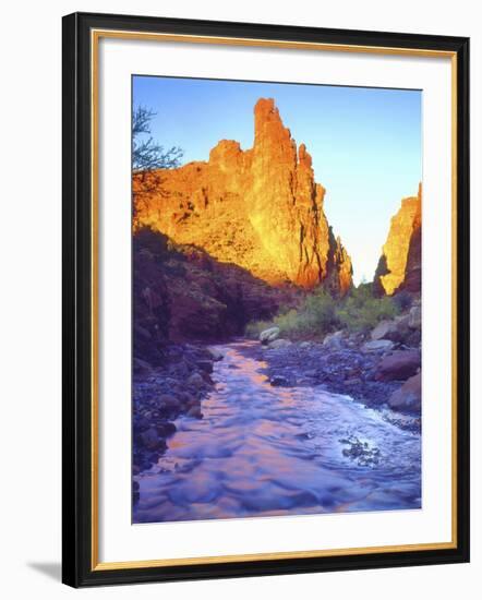 Stream Near Fisher Towers, Utah, USA-Christopher Talbot Frank-Framed Photographic Print