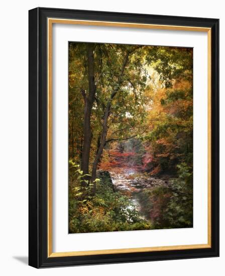 Stream of Consciousness-Jessica Jenney-Framed Giclee Print