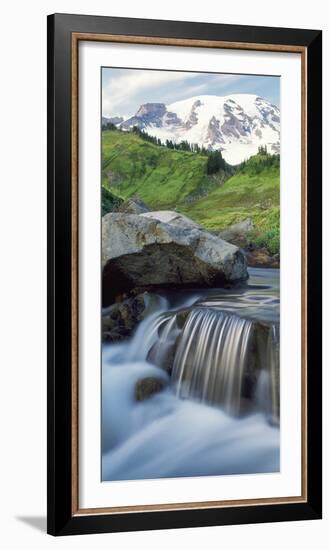 Stream on Paradise Trail near Mt. Rainier National Park lodge-Stuart Westmorland-Framed Photographic Print