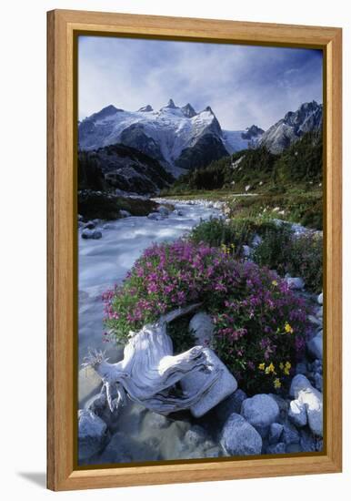 Stream Rapids-David Nunuk-Framed Premier Image Canvas