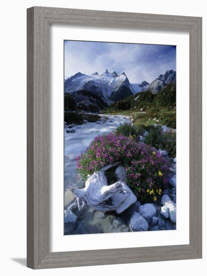 Stream Rapids-David Nunuk-Framed Photographic Print