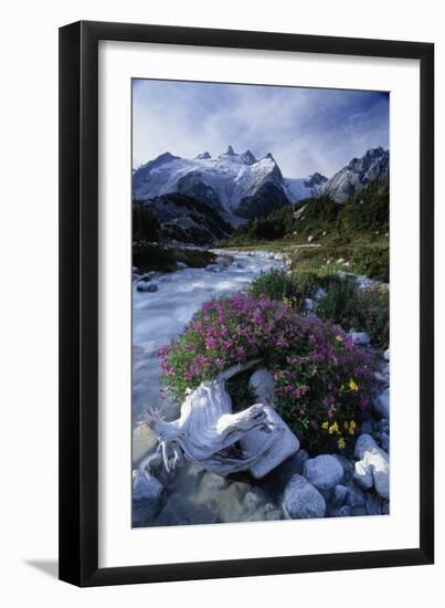 Stream Rapids-David Nunuk-Framed Photographic Print