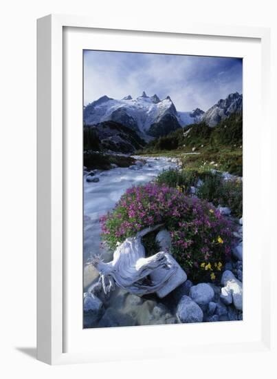 Stream Rapids-David Nunuk-Framed Photographic Print