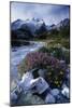 Stream Rapids-David Nunuk-Mounted Photographic Print