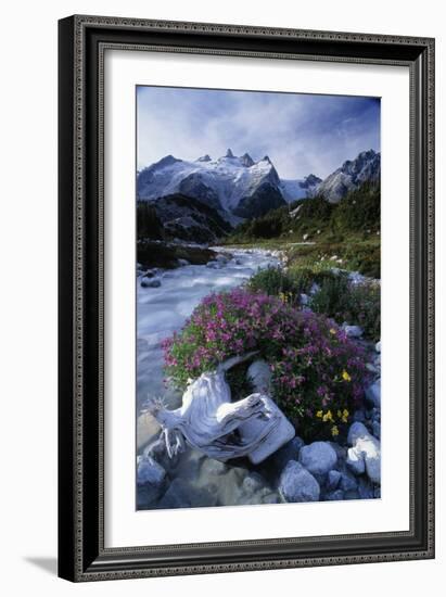 Stream Rapids-David Nunuk-Framed Photographic Print