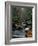 Stream Running Through Forest-Jay Dickman-Framed Photographic Print