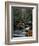 Stream Running Through Forest-Jay Dickman-Framed Photographic Print