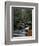 Stream Running Through Forest-Jay Dickman-Framed Photographic Print