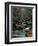 Stream Running Through Forest-Jay Dickman-Framed Photographic Print