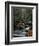 Stream Running Through Forest-Jay Dickman-Framed Photographic Print