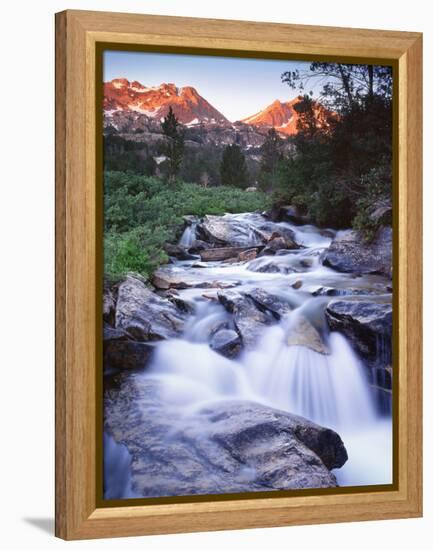 Stream Runs Through Lamoille Canyon in the Ruby Mountains, Nevada, Usa-Dennis Flaherty-Framed Premier Image Canvas