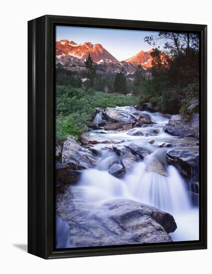 Stream Runs Through Lamoille Canyon in the Ruby Mountains, Nevada, Usa-Dennis Flaherty-Framed Premier Image Canvas