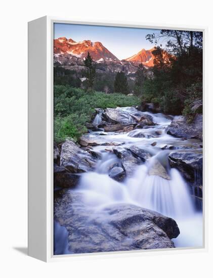 Stream Runs Through Lamoille Canyon in the Ruby Mountains, Nevada, Usa-Dennis Flaherty-Framed Premier Image Canvas