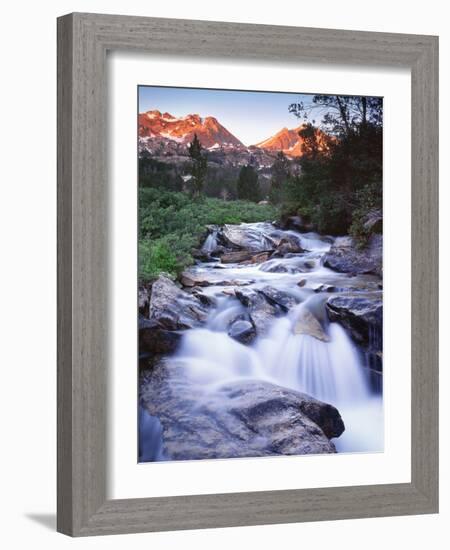 Stream Runs Through Lamoille Canyon in the Ruby Mountains, Nevada, Usa-Dennis Flaherty-Framed Photographic Print