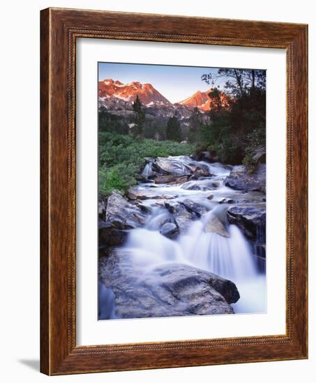 Stream Runs Through Lamoille Canyon in the Ruby Mountains, Nevada, Usa-Dennis Flaherty-Framed Photographic Print