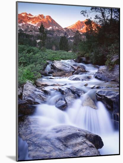 Stream Runs Through Lamoille Canyon in the Ruby Mountains, Nevada, Usa-Dennis Flaherty-Mounted Photographic Print