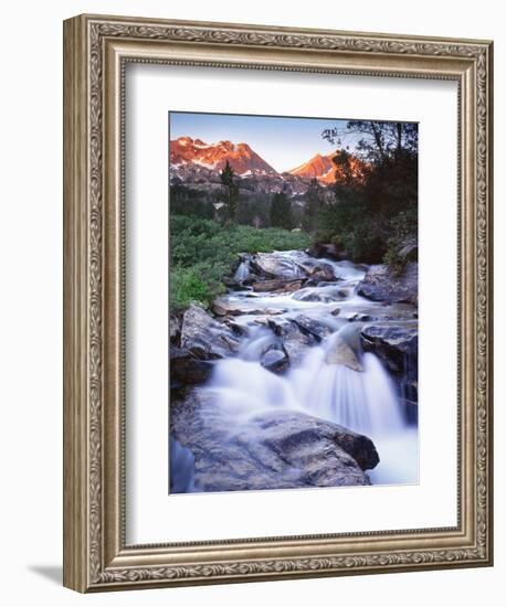 Stream Runs Through Lamoille Canyon in the Ruby Mountains, Nevada, Usa-Dennis Flaherty-Framed Photographic Print