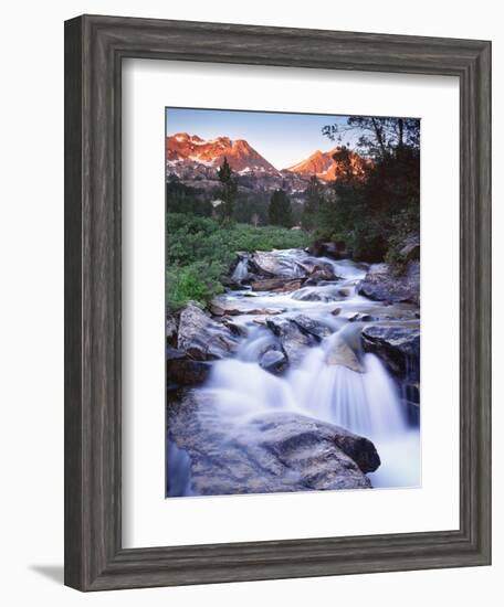 Stream Runs Through Lamoille Canyon in the Ruby Mountains, Nevada, Usa-Dennis Flaherty-Framed Photographic Print