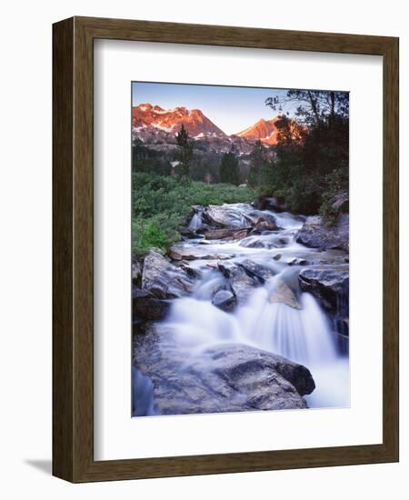 Stream Runs Through Lamoille Canyon in the Ruby Mountains, Nevada, Usa-Dennis Flaherty-Framed Photographic Print