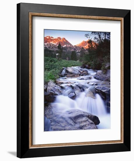 Stream Runs Through Lamoille Canyon in the Ruby Mountains, Nevada, Usa-Dennis Flaherty-Framed Photographic Print