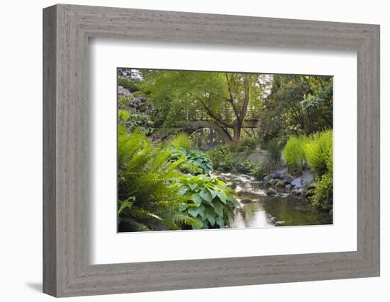 Stream under the Wooden Bridge-jpldesigns-Framed Photographic Print