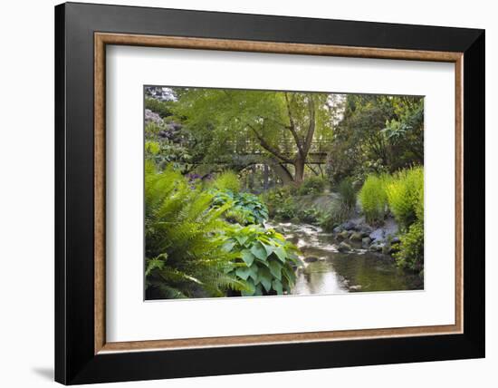 Stream under the Wooden Bridge-jpldesigns-Framed Photographic Print