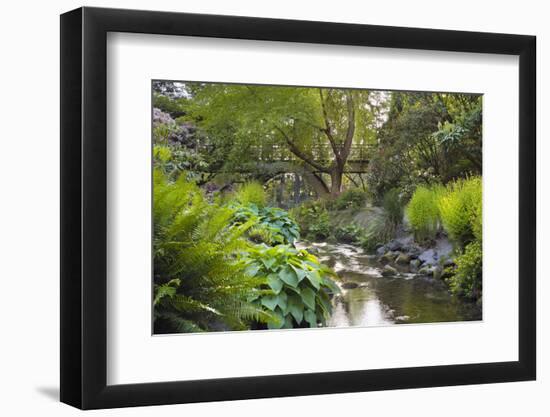 Stream under the Wooden Bridge-jpldesigns-Framed Photographic Print