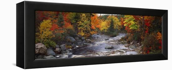 Stream with Trees in a Forest in Autumn, Nova Scotia, Canada-null-Framed Premier Image Canvas