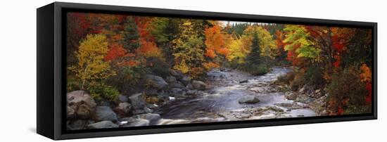 Stream with Trees in a Forest in Autumn, Nova Scotia, Canada-null-Framed Premier Image Canvas