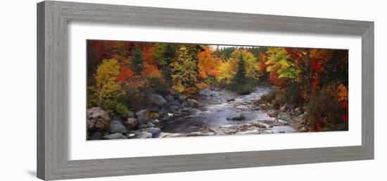 Stream with Trees in a Forest in Autumn, Nova Scotia, Canada-null-Framed Photographic Print