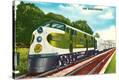 Stretched Canvas Print