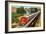 Streamlined Train on Trestle-null-Framed Art Print