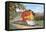 Streamlining through California, Oranges-null-Framed Stretched Canvas