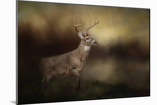 Streamside Buck-Jai Johnson-Mounted Giclee Print