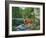 Streamside - White Tail Deer-William Vanderdasson-Framed Giclee Print