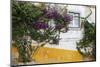 Street Along Obidos, Leiria, Portugal-Julie Eggers-Mounted Photographic Print