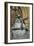 Street Artist, Bath, Avon-Peter Thompson-Framed Photographic Print