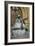 Street Artist, Bath, Avon-Peter Thompson-Framed Photographic Print