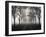 Street, Avenue, Fog, Autumn-Thonig-Framed Photographic Print