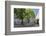 Street cafe on St. Johanner Markt Square in the Old Town, Saarbrucken, Saarland, Germany, Europe-Hans-Peter Merten-Framed Photographic Print