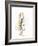 Street Fashion III-Irina Trzaskos Studio-Framed Giclee Print