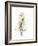 Street Fashion III-Irina Trzaskos Studio-Framed Giclee Print